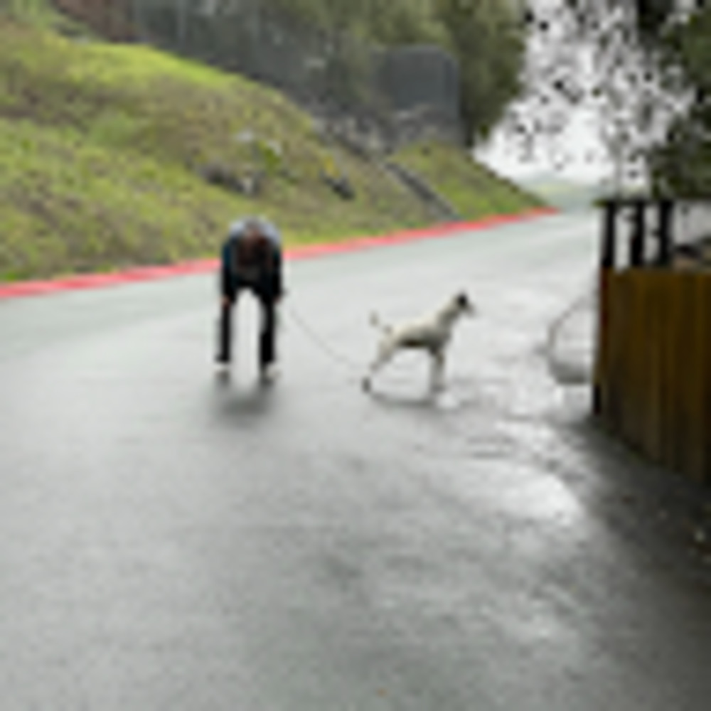 Meet your Posher, Abby